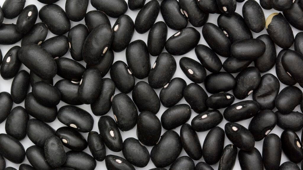 All Legumes Are Not Created Equal