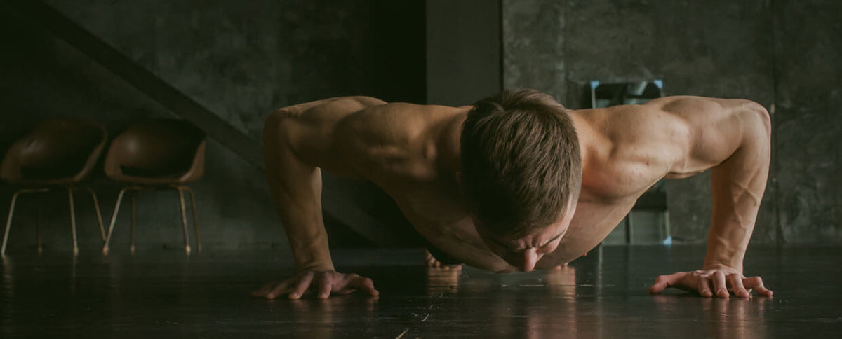What Is the Best Muscle-Building Program for Beginners?