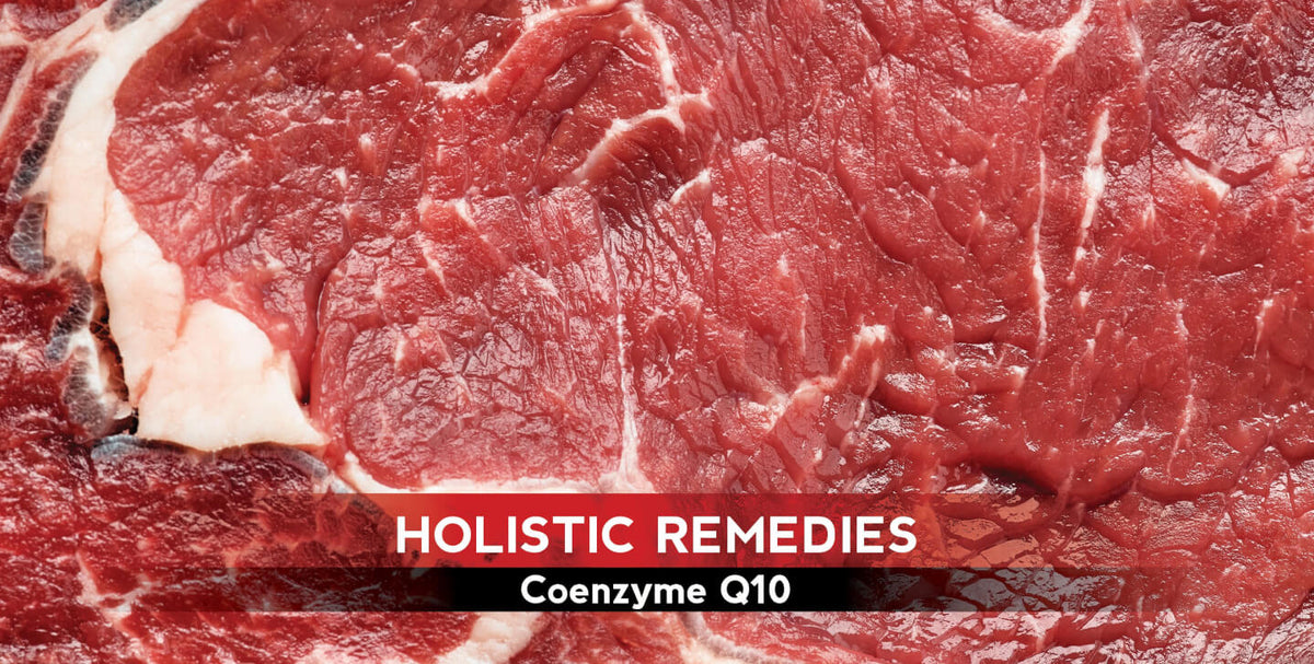 Coenzyme Q10: The Cell Protector