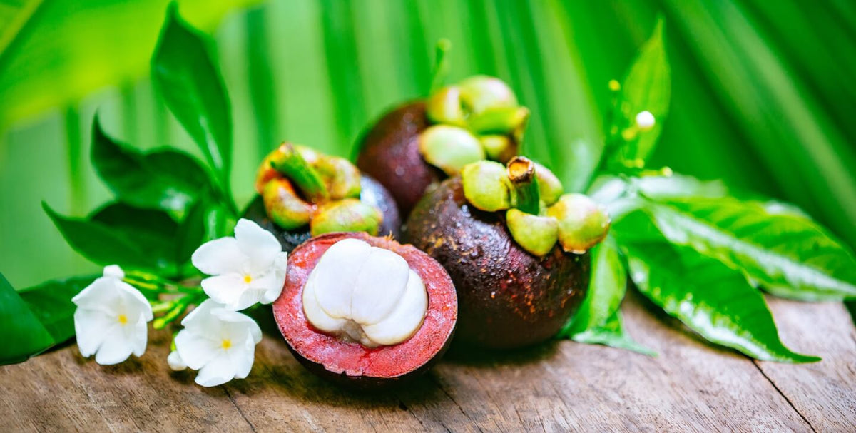 Mangosteen: The Tropical Antioxidant