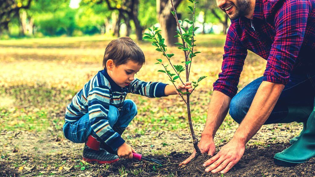 5 Selfish Reasons to Plant a Tree Today