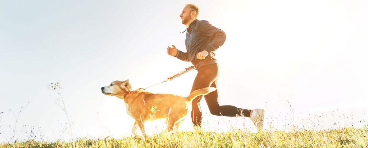 6 Simple Tweaks To Keep Your Pet Healthy and Happy