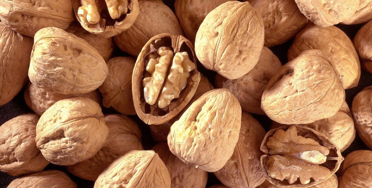 Walnuts: Food of the Week