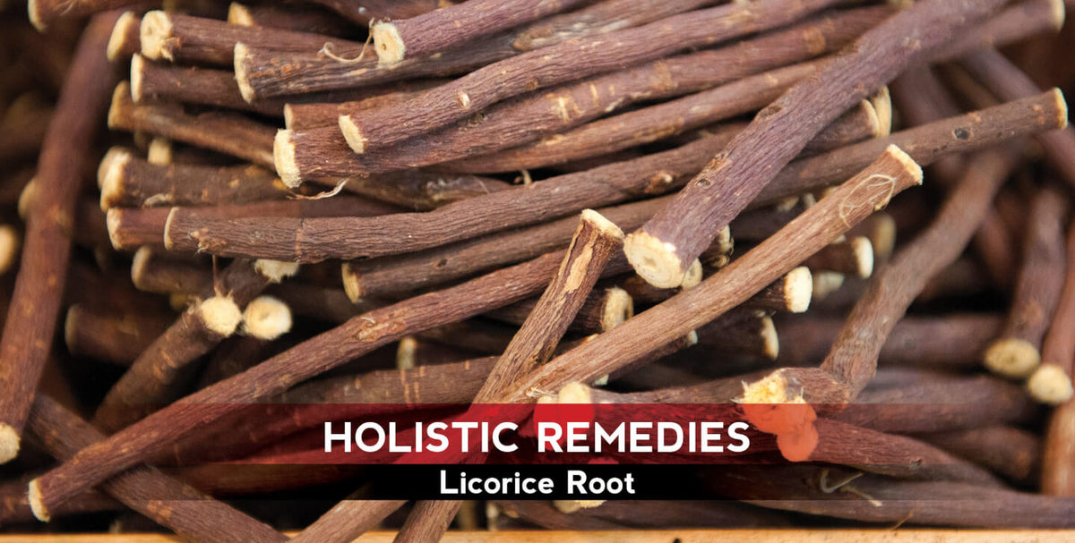 Licorice Root Benefits: The Natural Stomach Soother