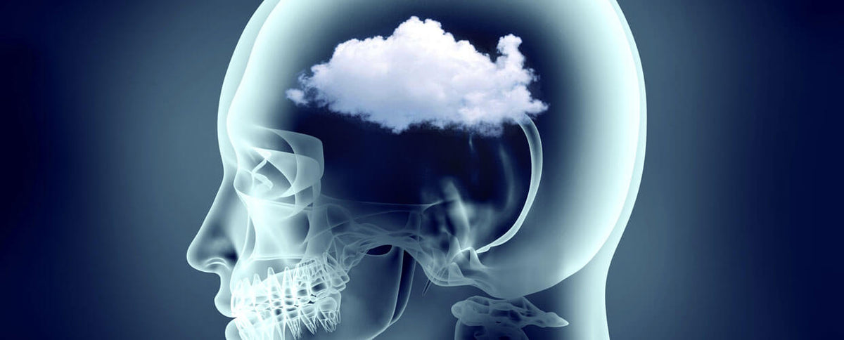 How to Clear Up Brain Fog (and Improve Your Training in the Process)