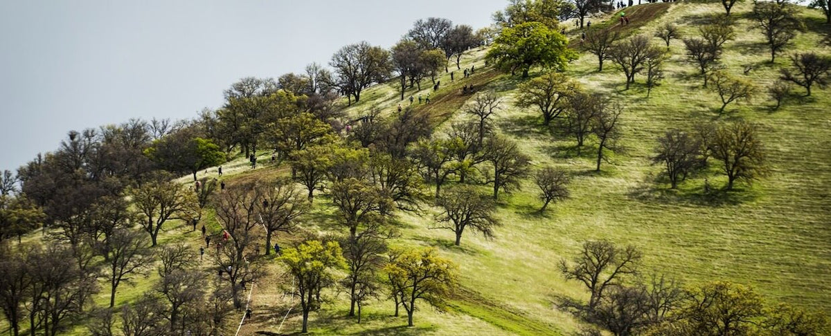 7 Great Trail Running Tips for Beginners