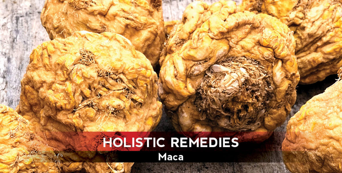 Level Up Your Libido With Maca, Nature's Aphrodisiac