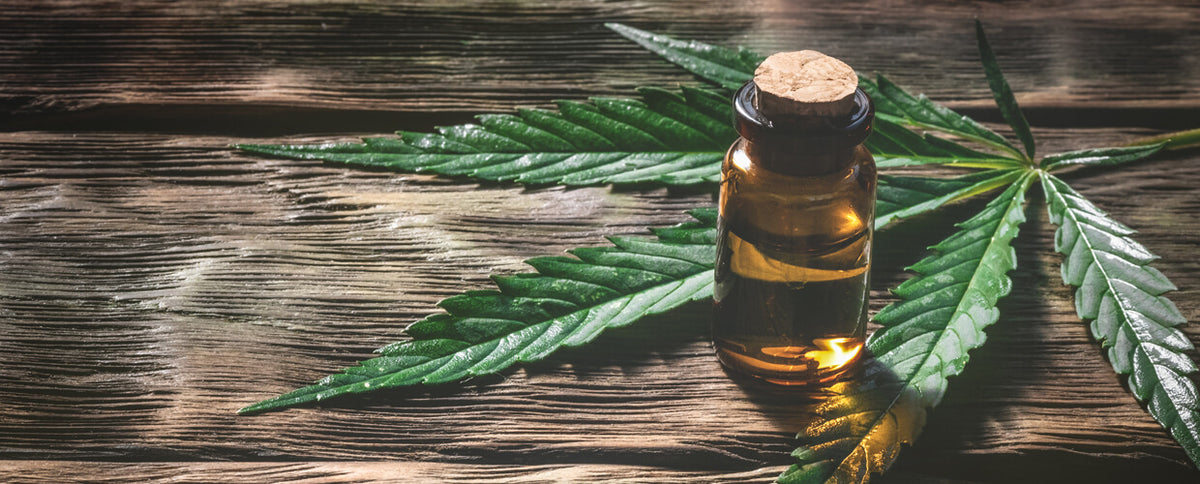 Can I Take CBD Before Exercising? 3 Things You Should Know