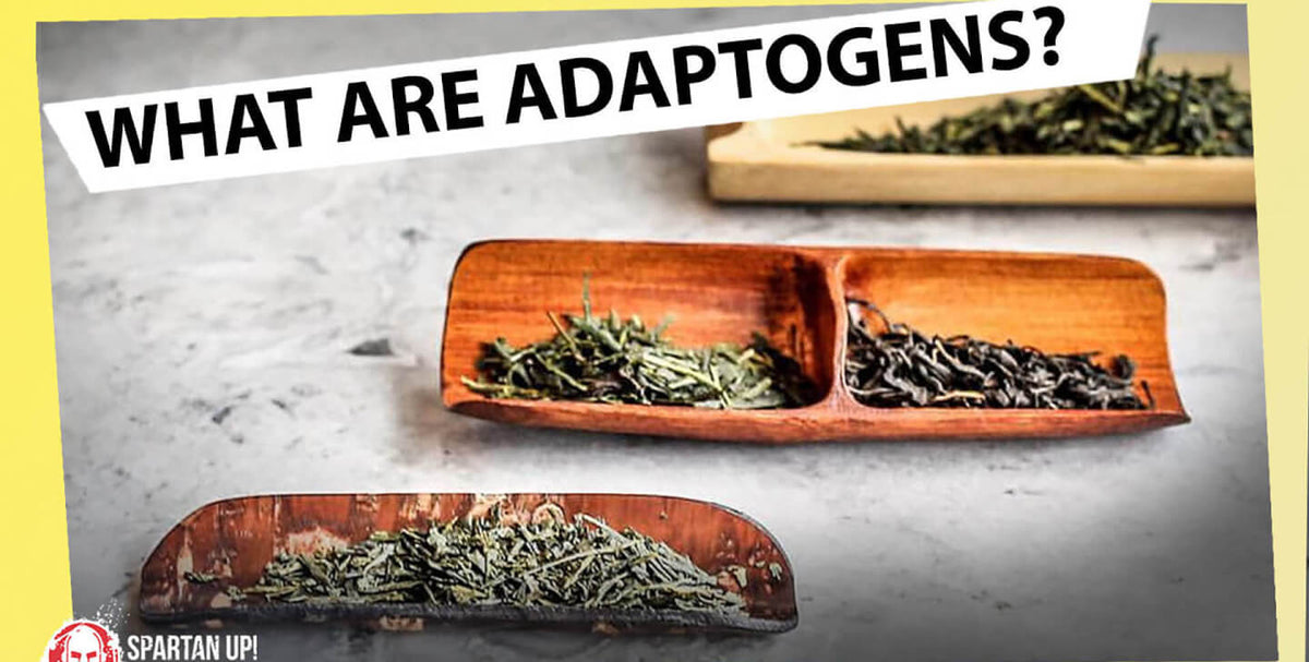 Are Adaptogens Too Good to Be True? Listen to the Podcast