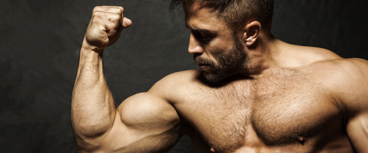 5 Best Strength-Building Bicep Exercises for Mass