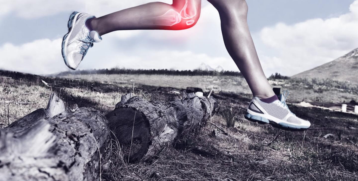 Will Glucosamine Save Your Knees?