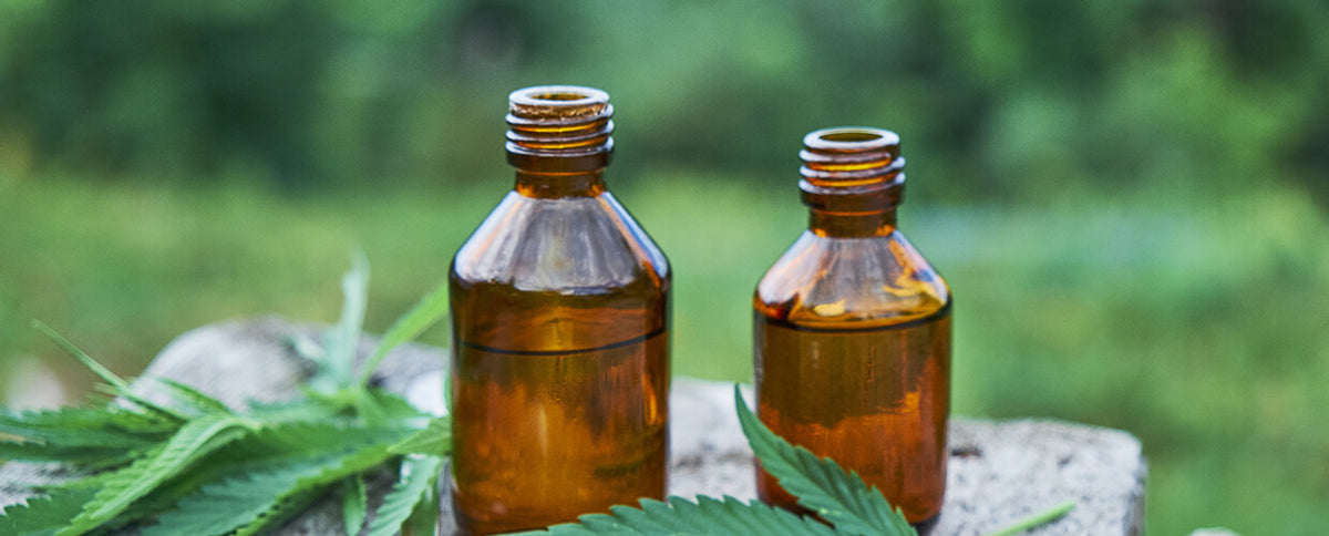 Should You Try CBD Oil for Post-Exercise Recovery?