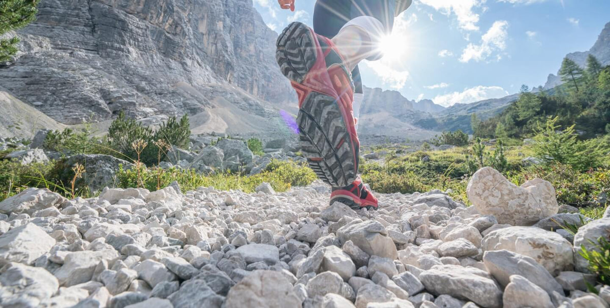 The Ultimate Spartan Trail Mix Recipe to Power Up Your Workouts