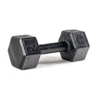 ENHANCED SPARTAN Hex Steel Dumbbell